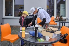 MY-TREES-00163 MY-TREES-00163