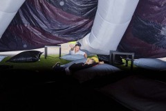 MY-TREES-00173 MY-TREES-00173