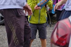 MY-TREES-00200 MY-TREES-00200